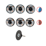 Set of 6 Mini Flap Discs with Backing Pad EvoTools®